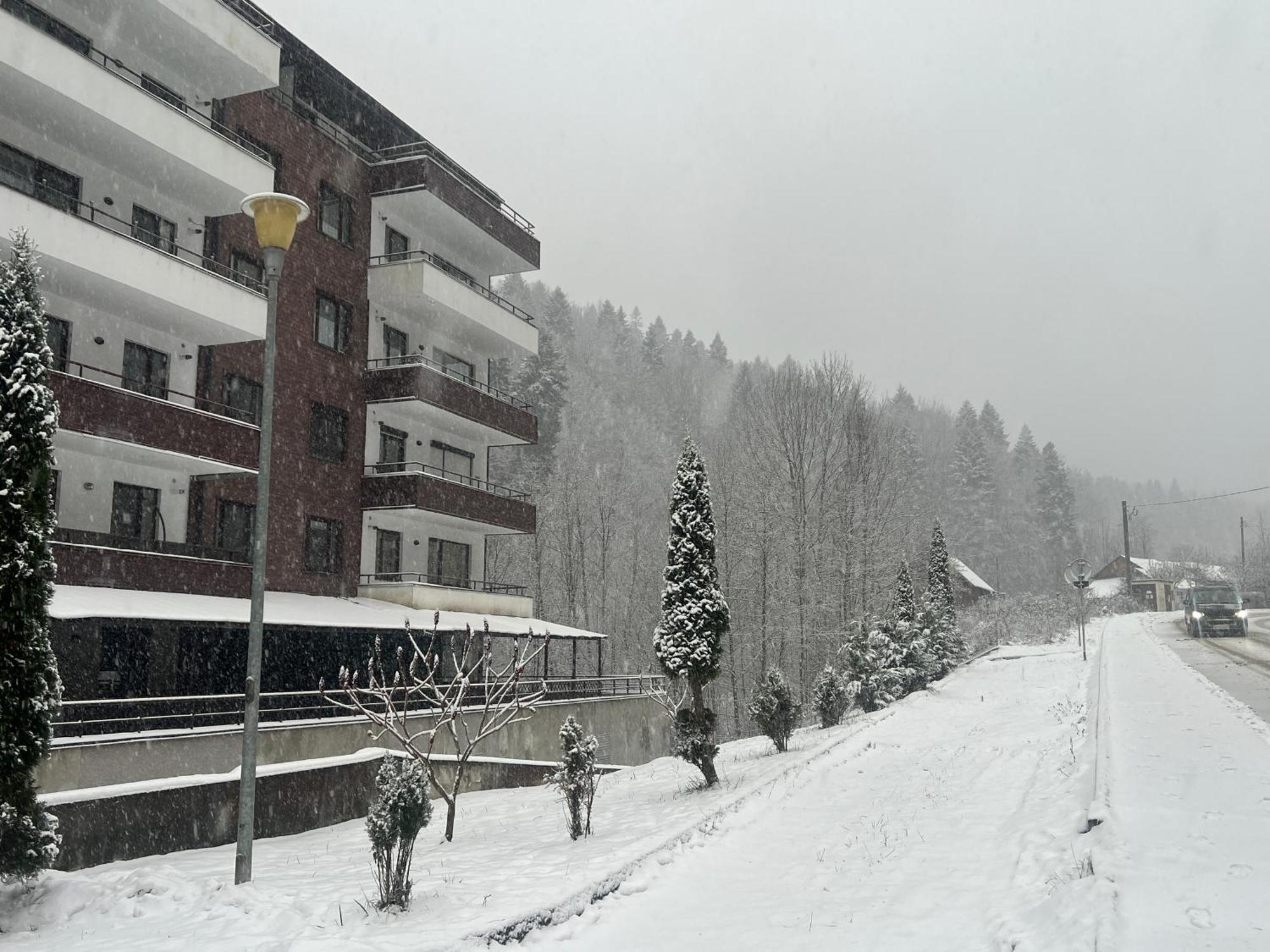 Serenity Suite Sinaia Dış mekan fotoğraf